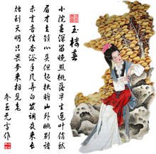 玉楼春